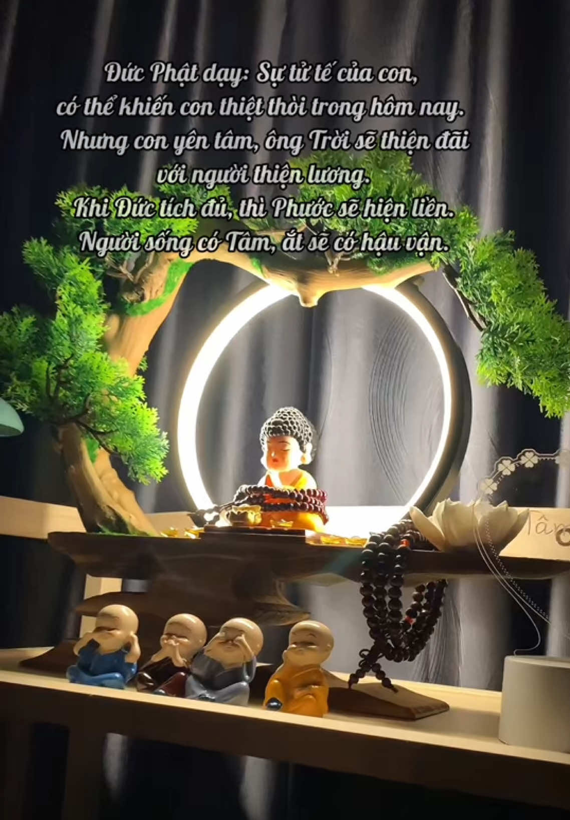 Tâm An, Vạn Sự An 🙏🙏🙏  Việc của con là sống Tốt, trời xanh sẽ tự biết cách An Bài #tamtt1204 #tieucanh #bonsai #tieucanhxongtram #phatphapnhiemmau 