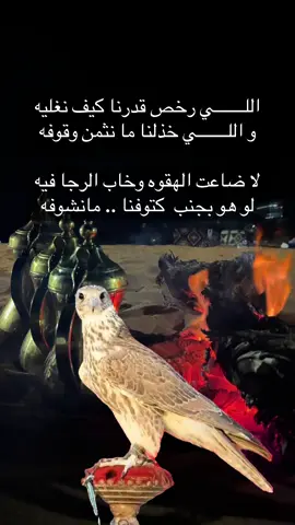 #فلسطين_أحساس_شاعر_لايك_فضلآ_وليس_أمرآ 