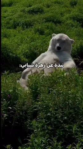 زهࢪت شبابي ࢪاحت هدࢪااً😭😂 #مالي_خلق_احط_هاشتاقات🦦 #مالي_خلق_احط_هاشتاقات #مالي_خلق_احط_هاشتاقات🧢 