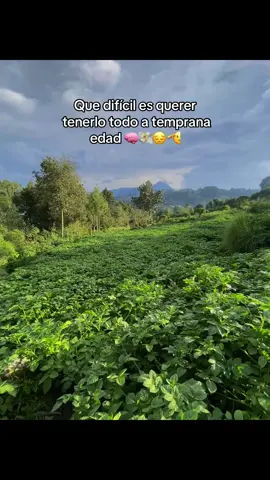 #paratii #fypp #viral #fypシ゚ #papa🥔 