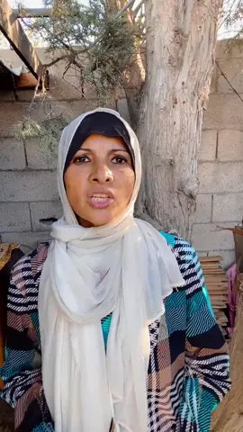 experience the EPPERSON lagoon in Florida the biggest pool ever #eppersonlagoonflorida #eppersonlagoon #florida #foryou #fyp   