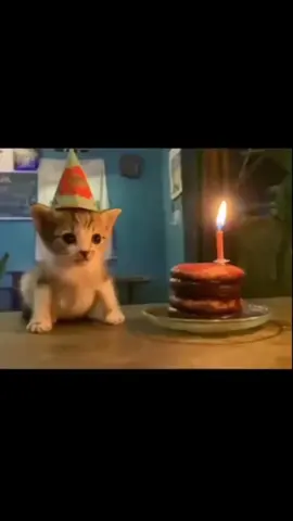 happy birthday nene@ᰔ #18thbirthday #ilovemygf #cat #loveofmylife #mybaby 