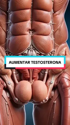 💪 5 alimentos que suben tu testosterona naturalmente: 🥚 Huevos – ricos en grasas saludables y vitamina D. 🐟 Atún – mejora la salud del corazón y eleva la testosterona. 🥬 Espinacas – llenas de magnesio para más fuerza y rendimiento. 🫒 Aceite de oliva virgen extra – equilibra el colesterol y potencia hormonas. 🫚 Jengibre – mejora la fertilidad y aumenta la testosterona. 🔥 Cuida tus niveles de forma natural con lo que comes. Comenta libro si quieres acceder a “Secretos Curativos de la Naturaleza” 📘 Y no olvides seguirnos para optimizar tu salud. #testosterona #saludybienestar #vidasana 