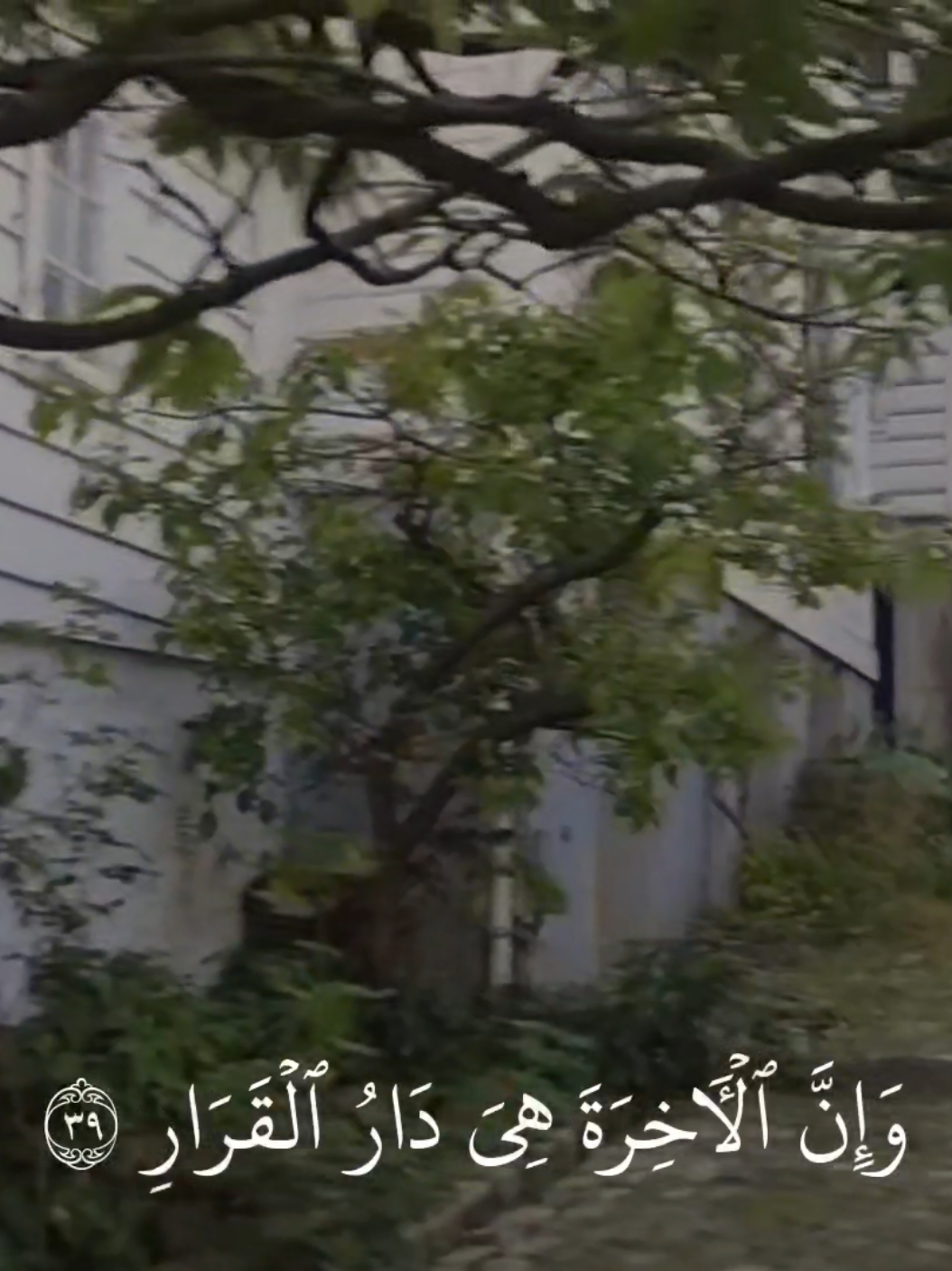 تلاوة جميلة #ياسر_الدوسري #قران_كريم #quran_alkarim #quran 
