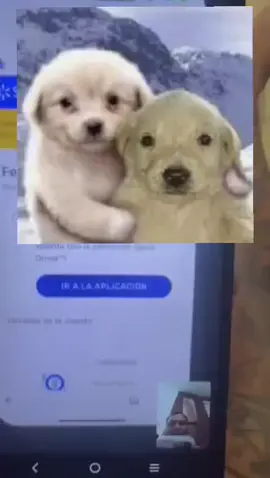 1 Hora Spark Drivers #viral #spark #activo#fyp#viral #fyp 