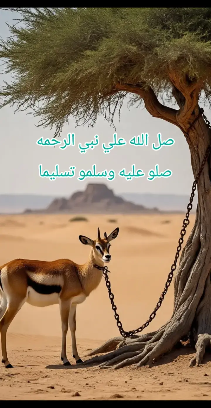 #الاسد👮‍♂️ 