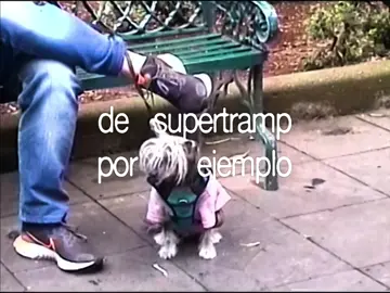 Cuál escogerías? 😮‍💨 #fypシ゚ #cdmx #viral #supertramp #musica 