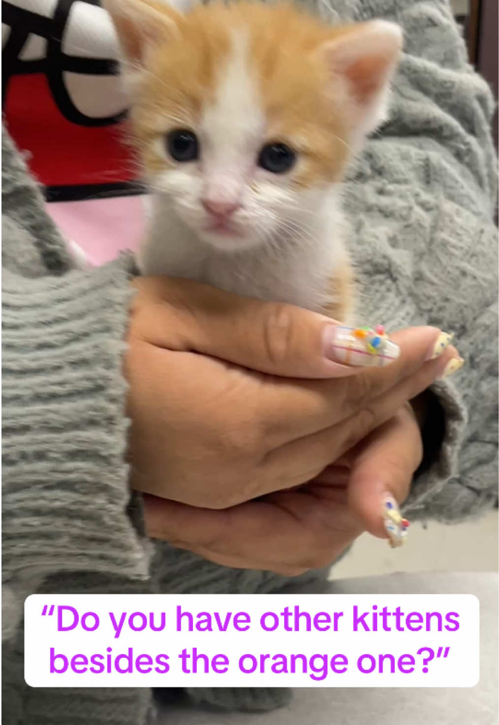 Yes!! We have kittens who need foster homes! Inquire today by emailing foster@Spca.org #fosterkittens #fostersneeded #dfw #kittens #dallas