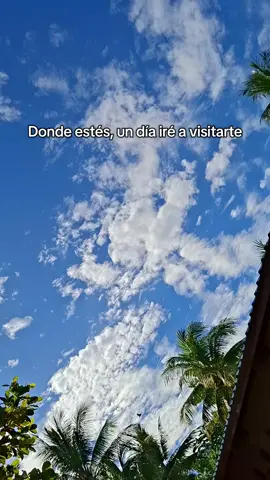 #🕊️🤍 #🥀🖤 #fypシ゚ #fy #fypシ゚ 