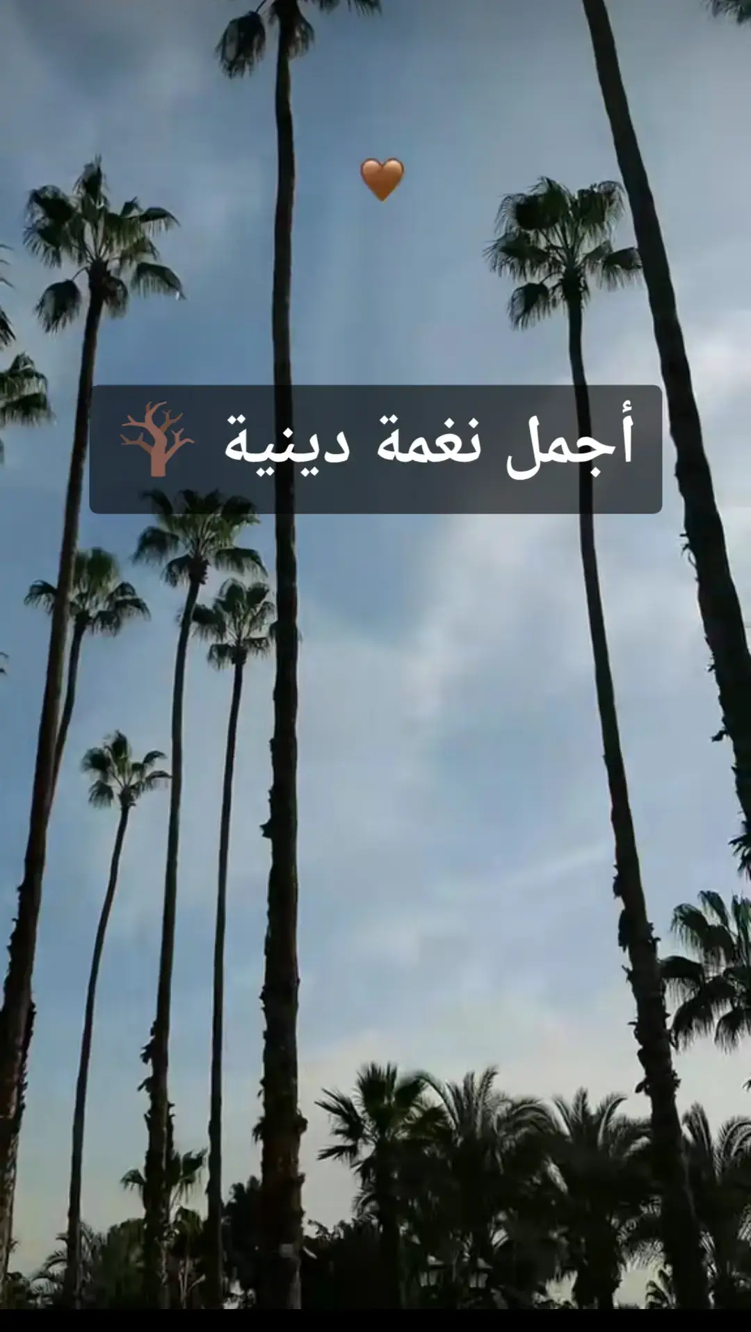 #نغمة_دينية #foryour #نغمات_مميزه #fypシ゚ #نغمات🎻 