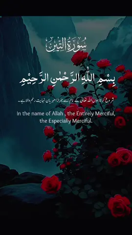 #🕋قرآن_کریم🕋 #🌹تلاوت_قرآنکریم🌹 #سبحان_الله_الحمدلله_لااله_الا_الله #اللهم_صلی_علی_محمد_وال_محمد🌹 #استغفروالله_العظیم_اتوب_الیه🤲❤️ 