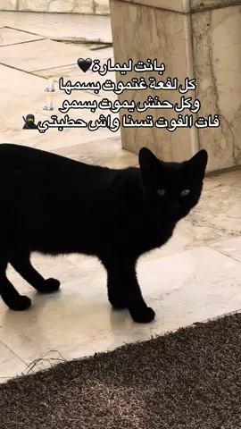 الله ياخد حقكم لي مضلوم هادي بشارتك حقك قريب يتخاد 🖤🕯️#🖤 #❤️ 