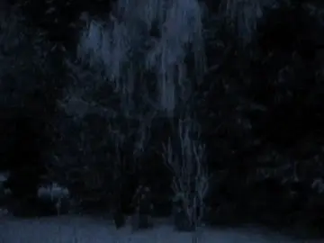 telegram channel — msngbyss