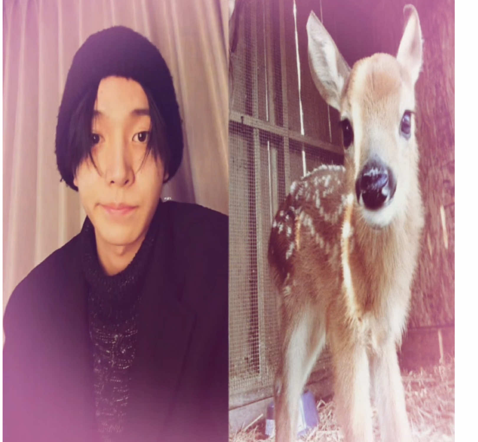 #heeseung #enhypen 