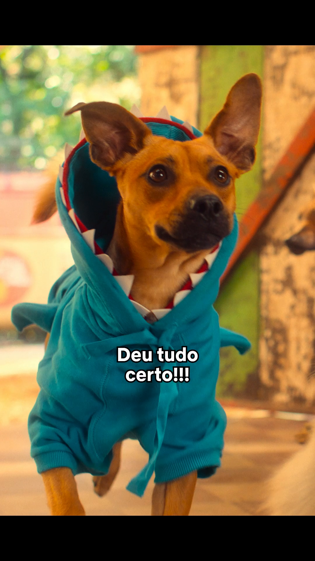 Atenção: um tubarão muito perigoso está passando na sua FY. #caramelo #dogs #tiktokmefezassistir #rafaelvitti #netflixbrasil #netflix