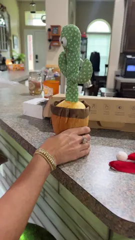 #talkingcactus #cactus #dancingcactus🌵🌵🌵❤️❤️❤️ #dancingcactus #babytoys 