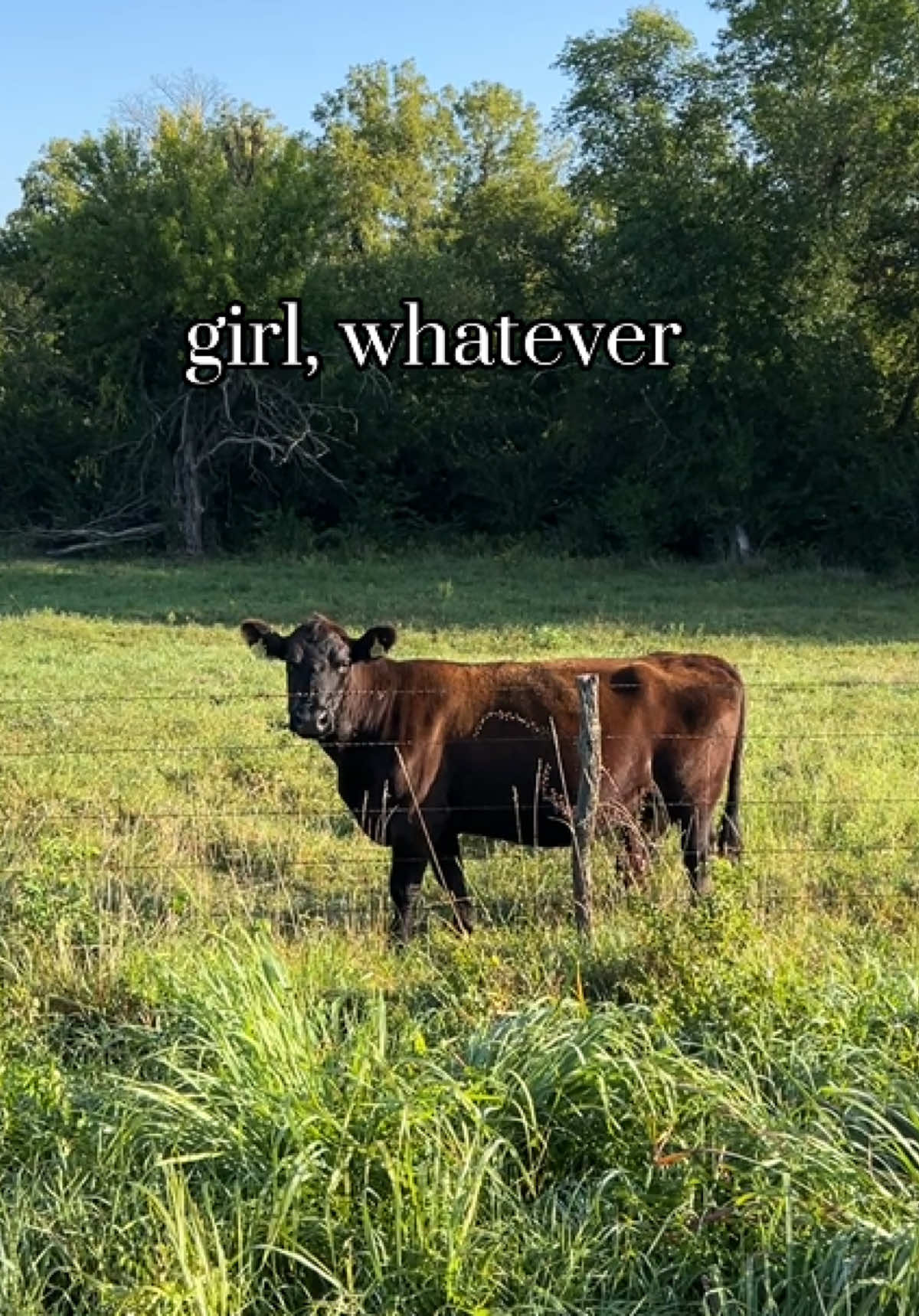 moo’d  #GirlWhatever #Kansas