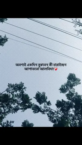 অবশ্যই একদিন বুঝবেন কী হারাইছেন আপাততো আলবিদা!❤️‍🩹 #foryou #banglacaption #sadcaption #emotionalvideo #fyp 