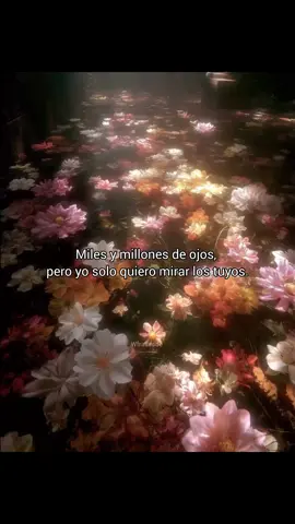 yo solo quiero mirar los tuyos.#paradedicar #texto 