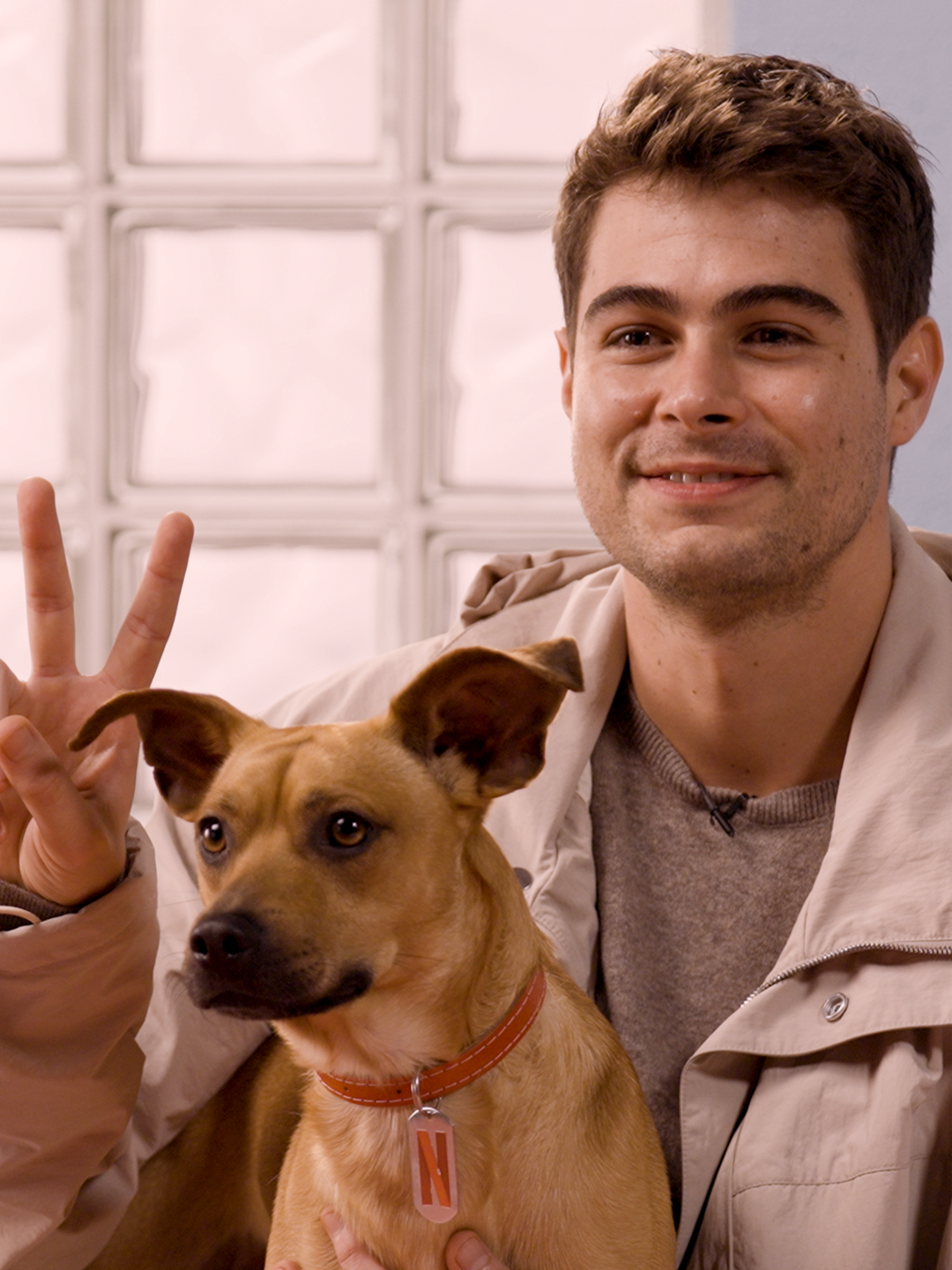 ALERTA DE FOFURA: Rafael Vitti e Amendoim fazendo trends de doguinhos 🐾 #caramelo #dogs #rafaelvitti #viralata #tiktokmefezassistir #Netflix #NetflixBrasil