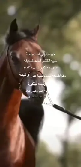 #في هذا اليوم 