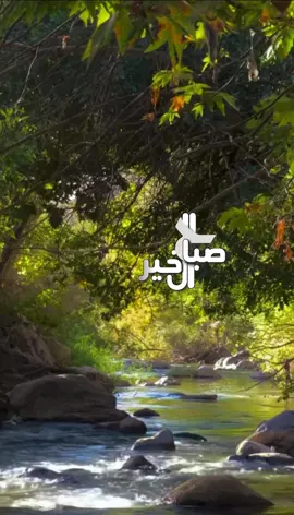 #صباح_الخير #اذكارالصباح #اكسبلور #