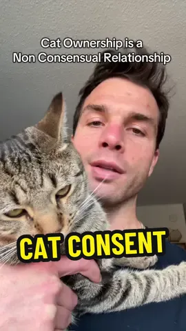 Being a cat parent is a great lesson is consent, or lack thereof #cats #cat #catlover #cattok #catlovers 