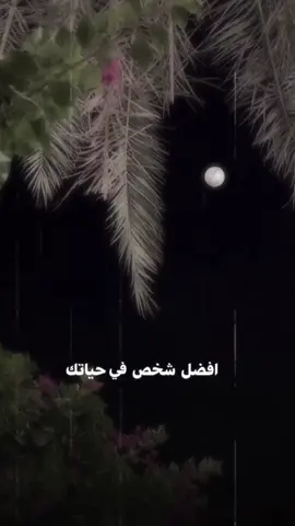 #CapCut #creatorsearchinsights #