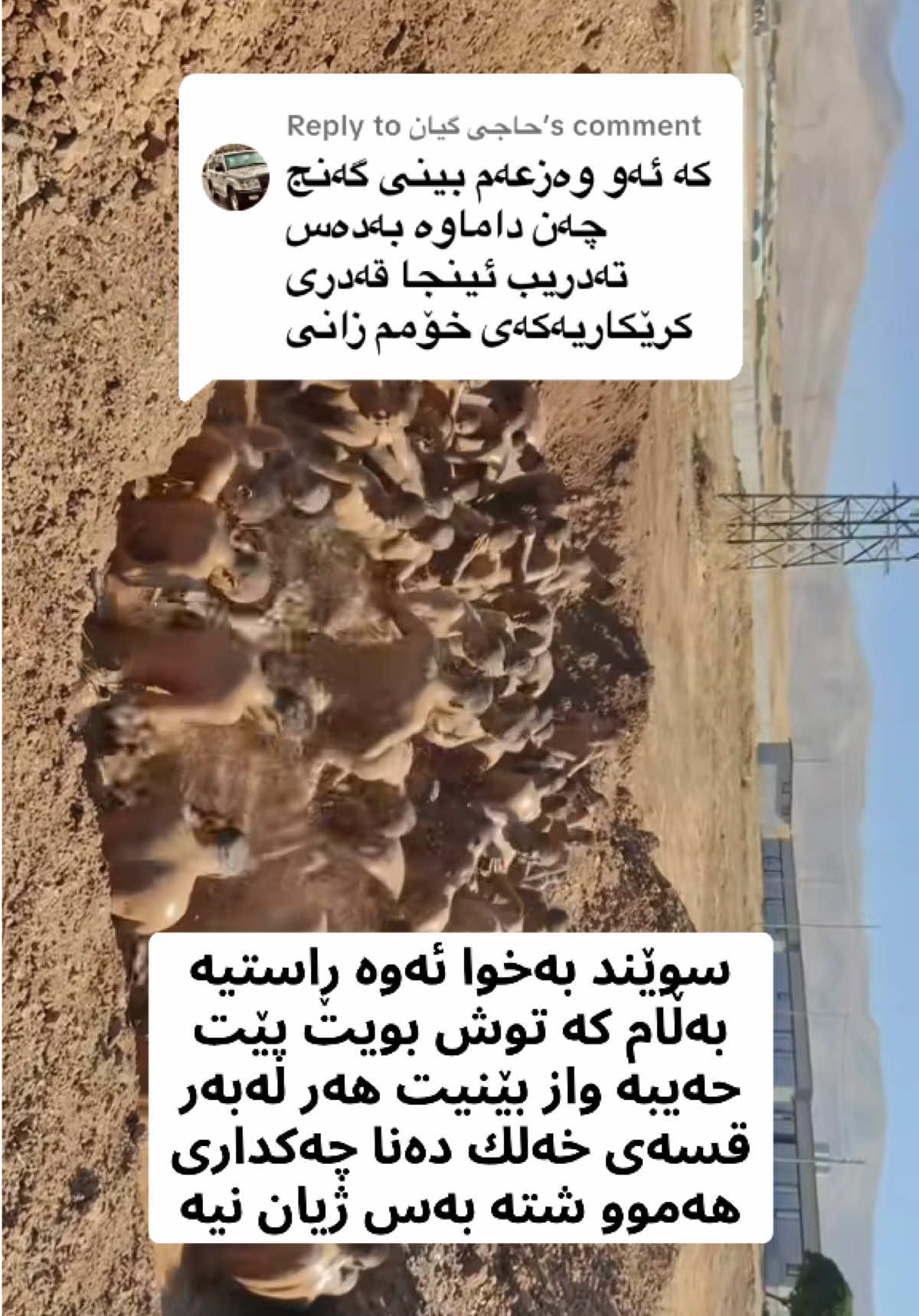 Replying to @حاجی گیان 
