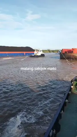 #pelautpunyacerita #fyp 