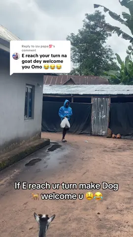 Replying to @izu papa💯  na goat Dey welcome me for here ❤️#tiktokviral #goatinlove🥹❤️ #viral_video 