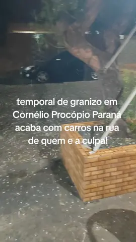 #temporal #naturesaselvagem #granizo #medo 