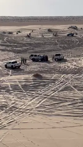 #الوادي_سوف_39 #رالي الفيض #طيوطا_شعار_لايعرف_القانون💪 @رمزي عماري / 🇩🇿Ramzi Ammari 