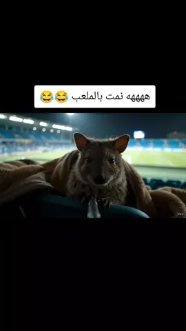 راح انام  بالملعب 😂😂 🏟️  #creatorsearchinsights #الذكاء_الاصطناعي #العراق #iraq #fyp 