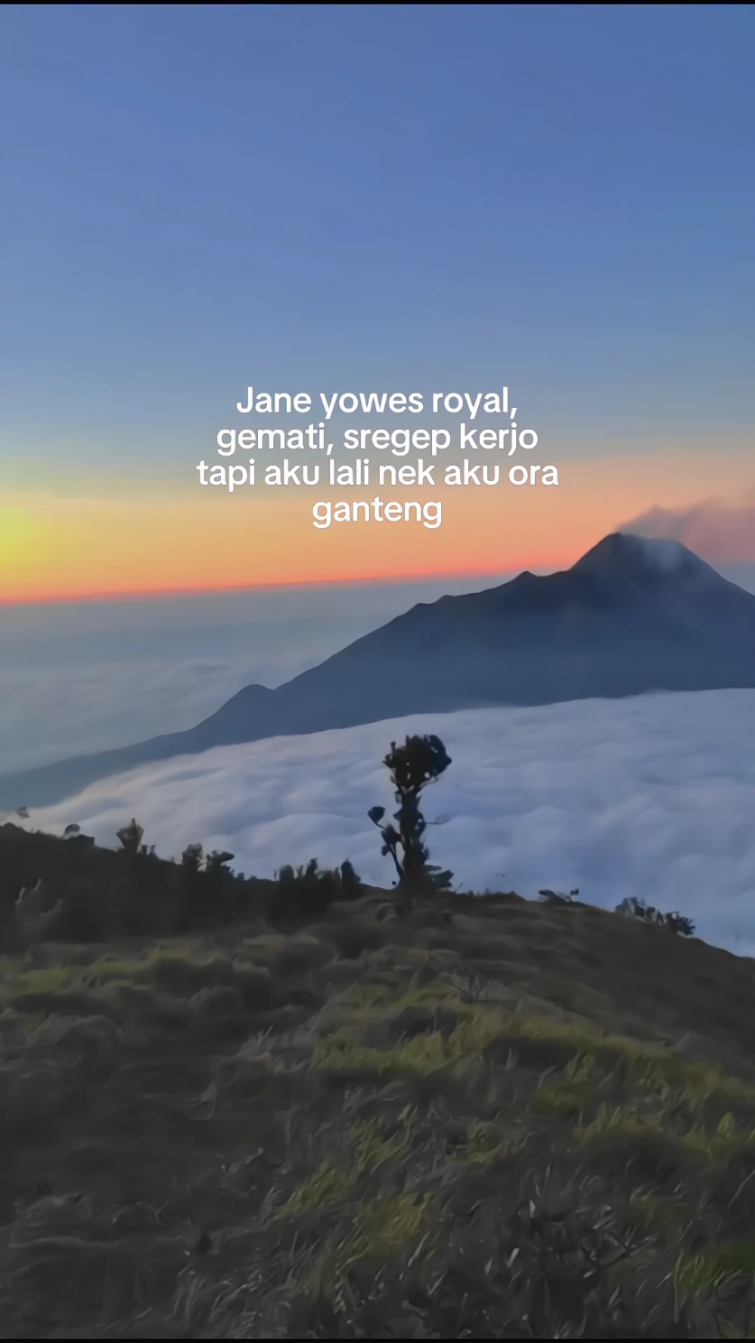 y wes rpopo #lewatberanda #fyp #viral #berandafyp #jowopride #jawapride #foryou #praumountain #gunung #dieng 