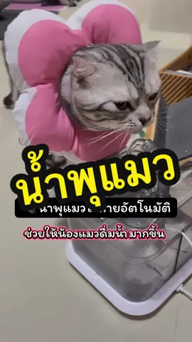น้ำพุแมวไร้สาย Catlink 💧 ถังใหญ่ 3000ml ไร้สายไฟ เสียงเงียบ ปลอดภัย ให้น้องแมวดื่มน้ำได้ตลอดวัน สดใหม่เหมือนน้ำไหลธรรมชาติ 🐱 ตัวช่วยให้แมวสุขภาพดี ดื่มน้ำเยอะขึ้นแน่นอน 🩵 พิกัดอยู่ในตะกร้าเลย ทาสแมวห้ามพลาด! #น้ำพุแมว#น้ําพุแมวไร้สาย#น้ําพุแมวไร้สาย#ของใช้แมวมวต้องมี  