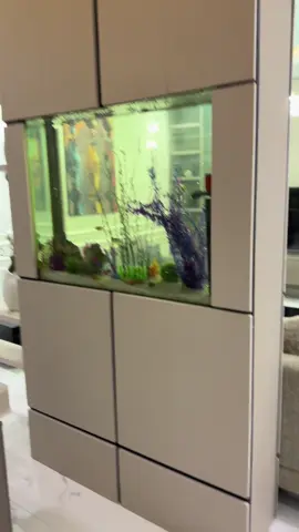 I b m global Funiture 🔨🪚🔥👏 successful project at guzafe abuja #abujatiktokers #paratiiiiiiiiiiiiiiiiiiiiiiiiiiiiiii @Sarkin Wakan Sunusi @As khalepha 