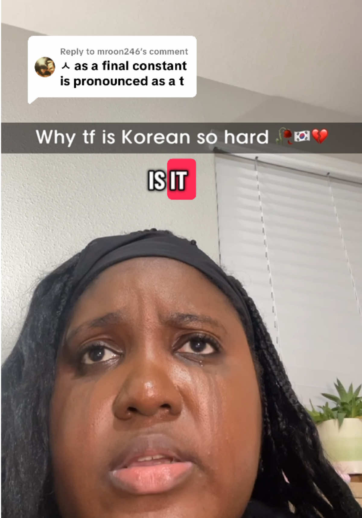 Replying to @mroon246 okay so Korean speakers or LingoTok.. what is it?? #learnkorean #koreantiktok #lingotok #tash #LanguageLearning