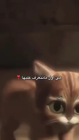 صحح #اقتباسات #جود _البرعصي #fyp 