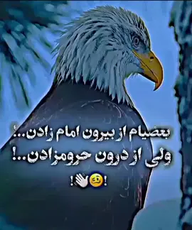 #تیک_تاک_افغان_ایرانی_🇮🇷🇦🇫🖤🖤  #viraLvideo  #foryou  #creatorsearchinsights  #تیک_تاک_فارسی 