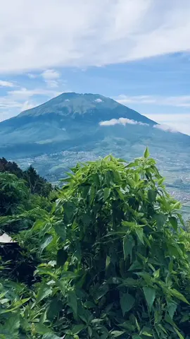 Lukisan Alam Karya Sang Pencipta, MasyaAllah Tabarakallah 😍  #rinhast #fypシ゚ #mountain #merbabu #andong 