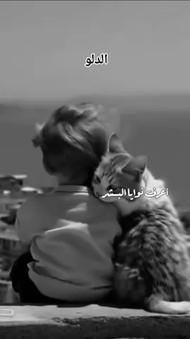 #CapCut الدلو #♒️aquarius♒️ #برج_الدلو♒ #برج_الدلو♒ #فاس 