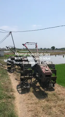 #jeksoromase #xybca #fypシ゚ #petaniindonesia🇮🇩🇮🇩🇮🇩🌿🌿 