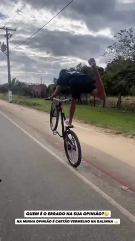 quem ta errado a galinha ou o cara da bicicleta 🤣