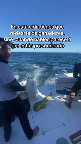 Y ni les cuento como estaba el sashimi #farallon #pesca #deporte #dorado #pescadeportiva 