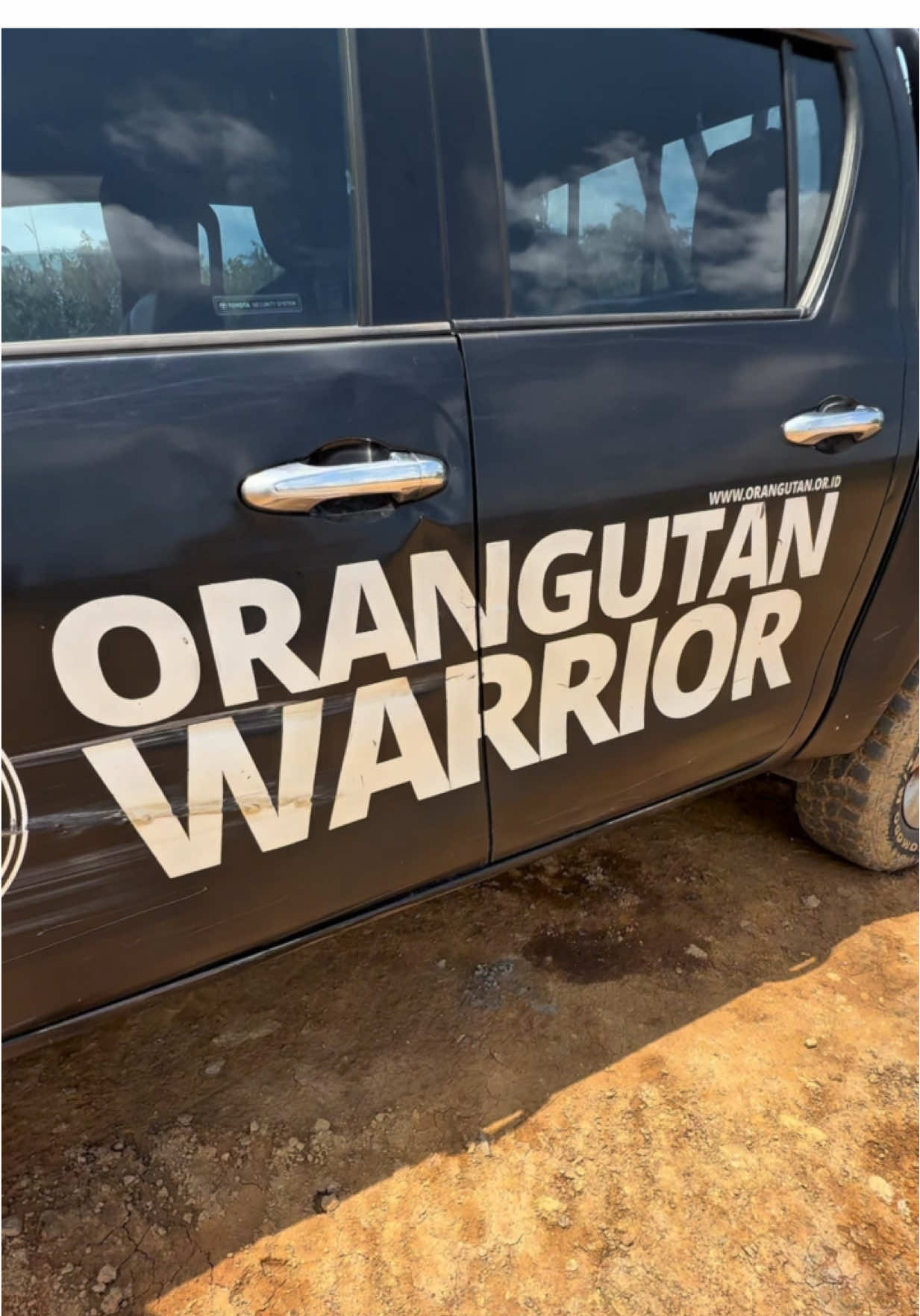 Aujourd’hui, on plante les bases d’un futur plus sauvage ✨ 350 arbres replantés sur une ancienne ferme d’huile de palme et d’ananas 🌴 🍍  Objectif : restaurer l’écosystème et recréer un milieu viable pour la biodiversité… et le retour des orangs-outans de Bornéo dans quelques années 🦧 Un pas de plus pour redonner à la forêt ce que l’homme lui a pris ! #Rewilding #Borneo #Orangutan #OrangOutan #Restoration       