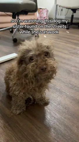 like i couldve given her a bath but i made this instead 