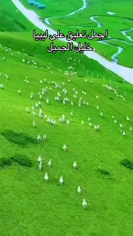 خليل البلوشي عن ليبيا 🥰🥰 #خليل_البلوشي  #ليبيا_طرابلس_مصر_تونس_المغرب_الخليج  #بنغازي #الشعب_الصيني_ماله_حل😂😂 #سوكنة_الجفرة_ليبيا_سوكنة 