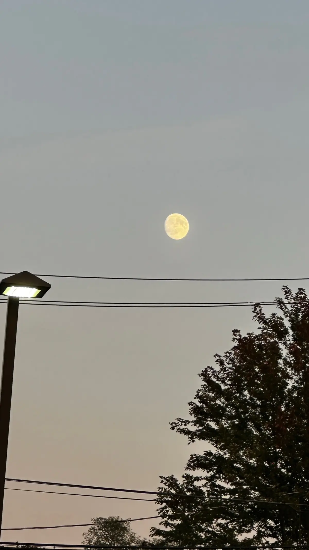 #moon 
