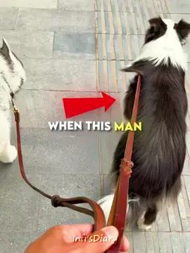 Clip 60| This Dog Surprised with his smartness 🐶🤯. #fypシ゚viral #viral #fyp #dog 